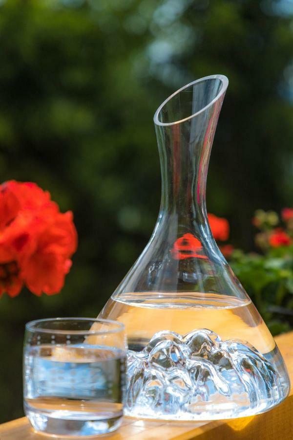 Gite&Spa Le Montagnard Saint-Jean-Saint-Nicolas Екстериор снимка